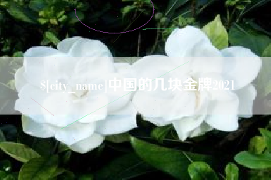 湘潭中国的几块金牌2021