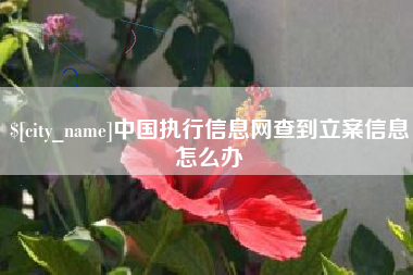 湘潭中国执行信息网查到立案信息怎么办