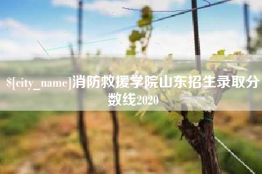 湘潭消防救援学院山东招生录取分数线2020