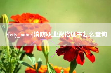 湘潭消防职业资格证书怎么查询