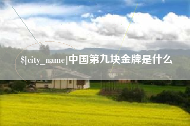 湘潭中国第九块金牌是什么