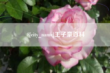 湘潭王子豪百科