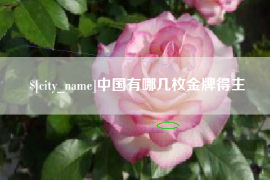 湘潭中国有哪几枚金牌得主