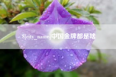 湘潭中国金牌都是啥