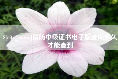 湘潭消防中级证书电子版查询多久才能查到