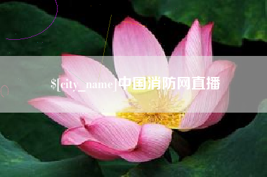 湘潭中国消防网直播