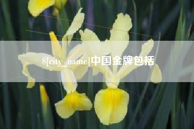 湘潭中国金牌包括