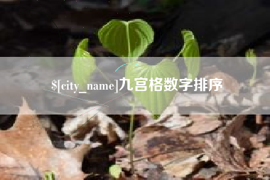 湘潭九宫格数字排序