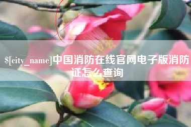 湘潭中国消防在线官网电子版消防证怎么查询