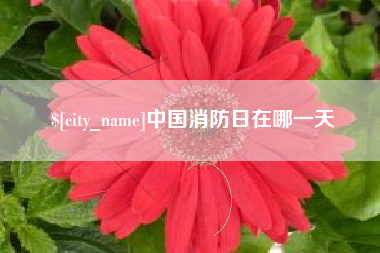 湘潭中国消防日在哪一天