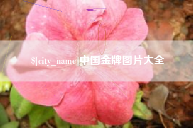 湘潭中国金牌图片大全