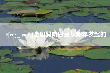 湘潭全国消防日是从哪年发起的