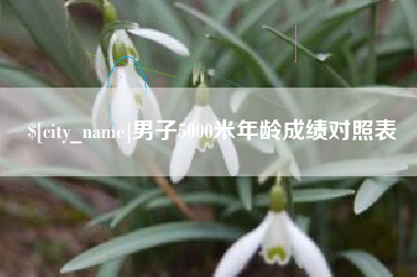 湘潭男子5000米年龄成绩对照表