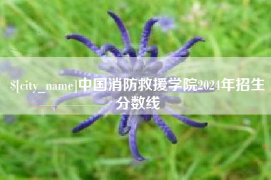 湘潭中国消防救援学院2024年招生分数线