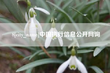 湘潭中国执行信息公开网询