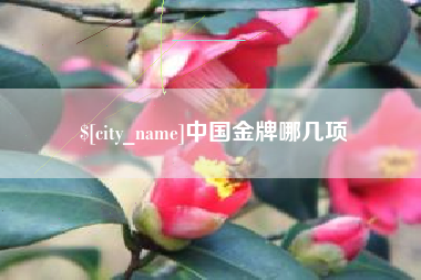 湘潭中国金牌哪几项