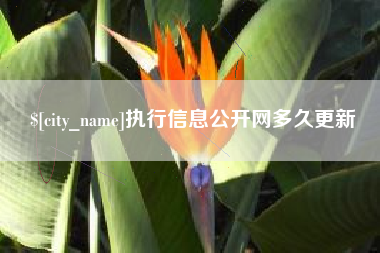 湘潭执行信息公开网多久更新