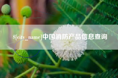 湘潭中国消防产品信息查询