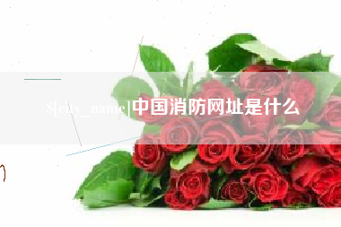 湘潭中国消防网址是什么