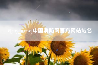 湘潭中国消防网官方网站域名