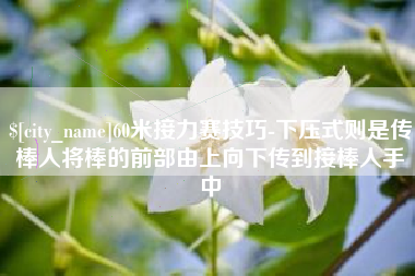 湘潭60米接力赛技巧-下压式则是传棒人将棒的前部由上向下传到接棒人手中