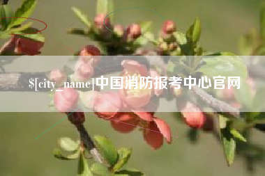 湘潭中国消防报考中心官网