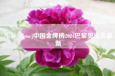 湘潭中国金牌榜2024巴黎奥运会最新