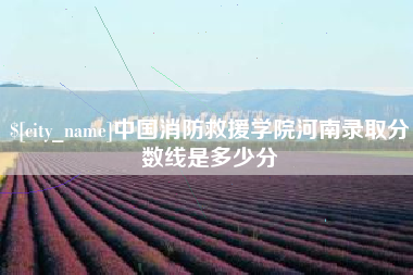 湘潭中国消防救援学院河南录取分数线是多少分