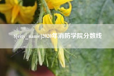 湘潭2020年消防学院分数线