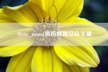 湘潭消防救援总队王星