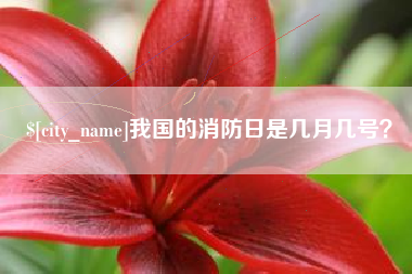 湘潭我国的消防日是几月几号？