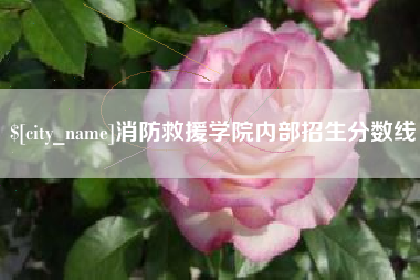 湘潭消防救援学院内部招生分数线