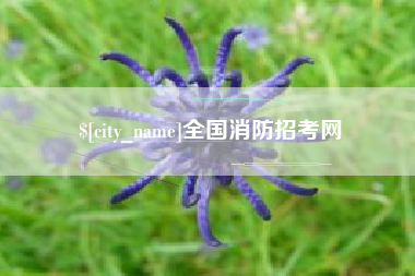 湘潭全国消防招考网