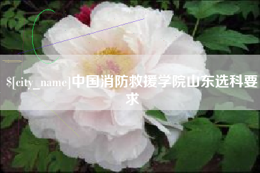 湘潭中国消防救援学院山东选科要求