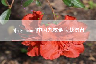 湘潭中国九枚金牌获得者