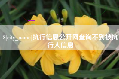 湘潭执行信息公开网查询不到被执行人信息