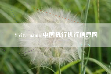 湘潭中国执行执行信息网