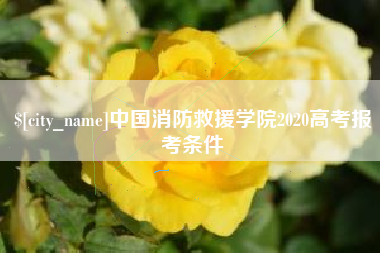 湘潭中国消防救援学院2020高考报考条件