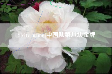 湘潭中国队第八块金牌