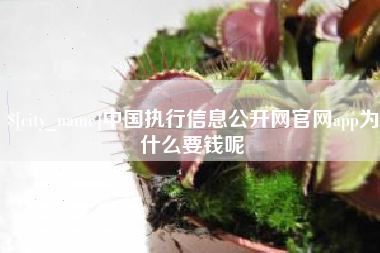湘潭中国执行信息公开网官网app为什么要钱呢