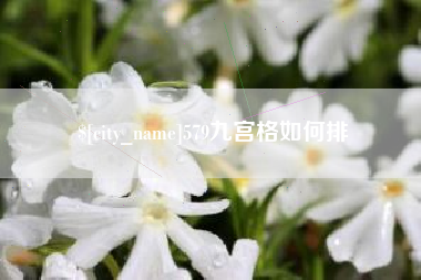 湘潭579九宫格如何排
