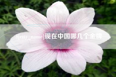 湘潭现在中国哪几个金牌