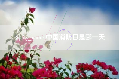 湘潭中国消防日是哪一天