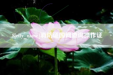 湘潭消防证国网查询操作证