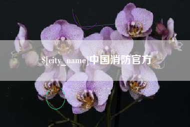 湘潭中国消防官方