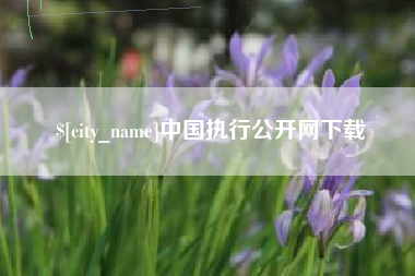湘潭中国执行公开网下载