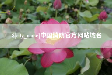 湘潭中国消防官方网站域名