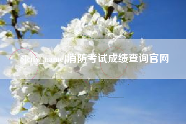 湘潭消防考试成绩查询官网