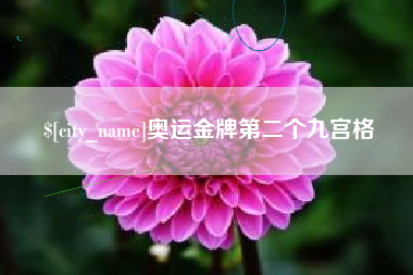 湘潭奥运金牌第二个九宫格