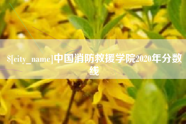 湘潭中国消防救援学院2020年分数线